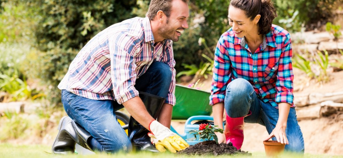 Tips and Tricks to Keep Your Yard Looking Healthy