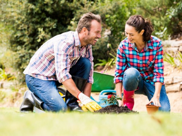 Tips and Tricks to Keep Your Yard Looking Healthy
